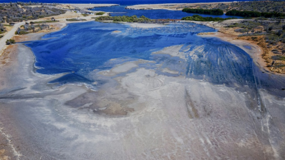 Gericht: Niederlande zu Schutz von Karibikinsel vor Klimwandel-Folgen verpflichtet