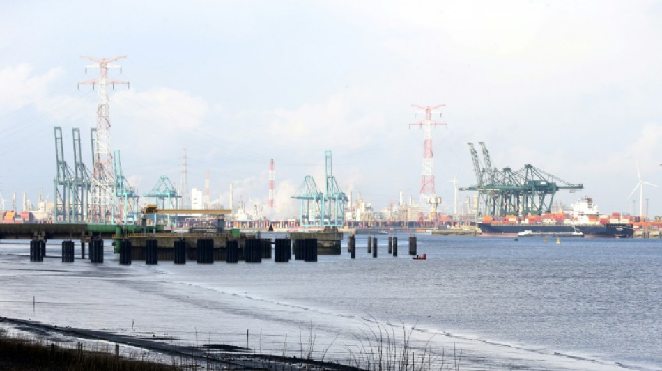 Terminales portuarios en tres países europeos sufren  un ciberataque