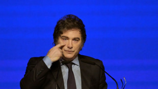 Principales medidas del primer a&ntilde;o de gobierno de Milei en Argentina