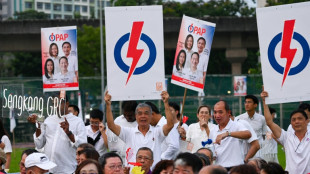 Vor Hintergrund drohender US-Z&ouml;lle: Parlamentswahl in Singapur begonnen 