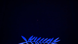 Filmes em competição no Festival de Cannes