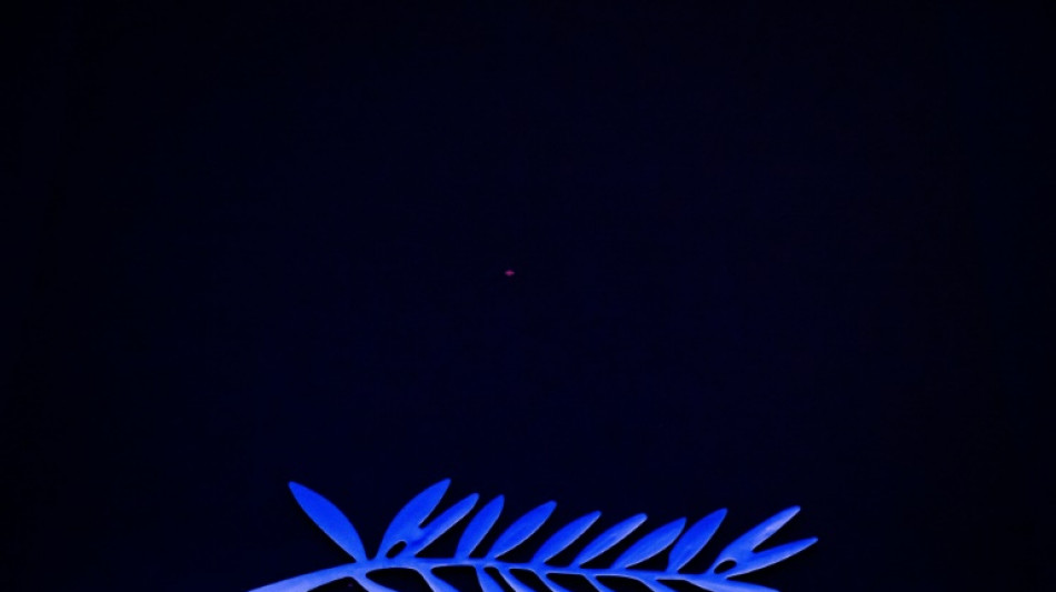 Os 22 filmes em competi&ccedil;&atilde;o no 78&ordm; Festival de Cannes