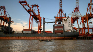 La japonesa ENEOS se retira de un proyecto gas&iacute;fero de Birmania