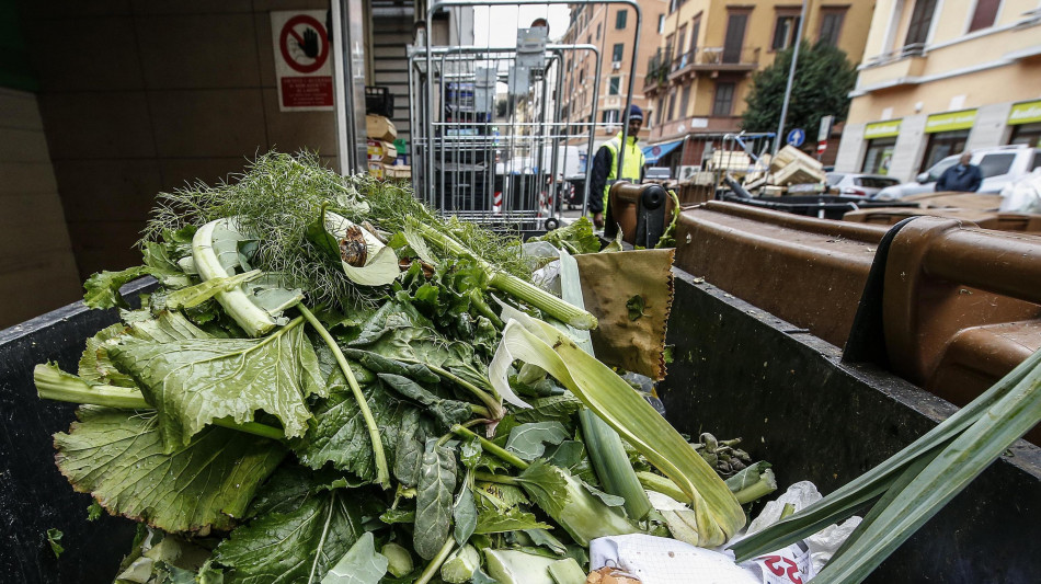 Una bioraffineria per trasformare scarti, CO2 e inquinanti