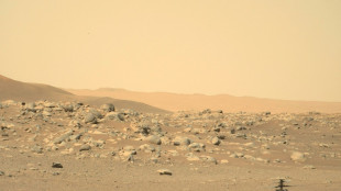 La Nasa a r&eacute;tabli le contact avec son h&eacute;licopt&egrave;re sur Mars