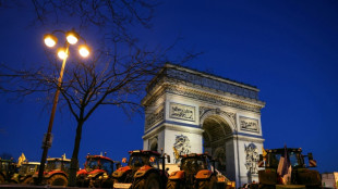 Detenidas 66 personas en una protesta agraria junto al Arco del Triunfo en París