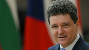 Merz empf&auml;ngt rum&auml;nischen Staatspr&auml;sidenten Dan in Berlin