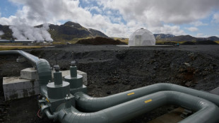 Iceland's 'Mammoth' raises potential for carbon capture
