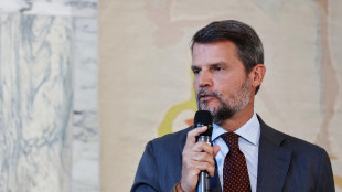 Mezzaroma 'dal Governo investimenti importanti su impiantistica'