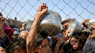 Hilfsorganisationen fordern humanit&auml;ren Krisengipfel zu Gaza im Kanzleramt