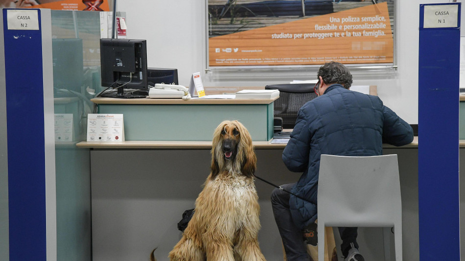 Domani al via bonifici istantanei senza extra-costi