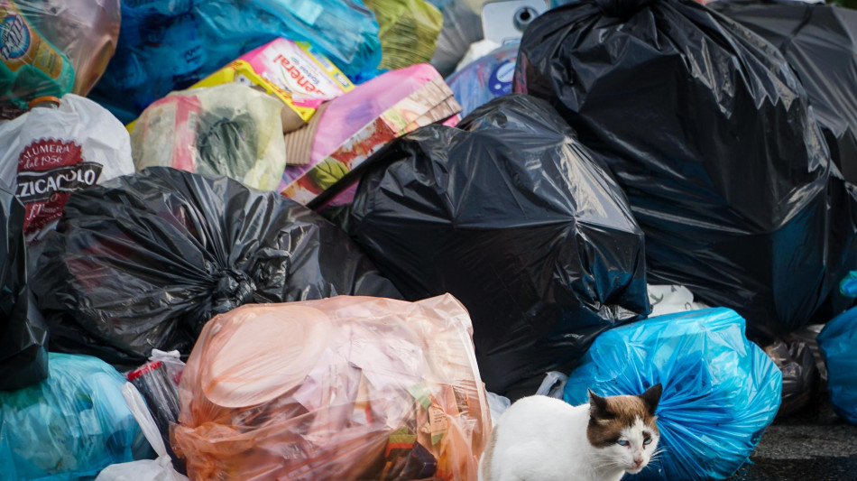 Plastic Free, tolleranza zero per chi getta rifiuti da auto