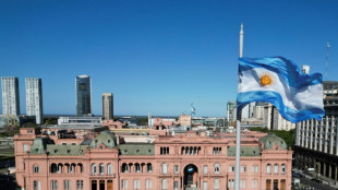 La OMSA, basti&oacute;n multilateral franc&eacute;s que un veterinario argentino busca conquistar