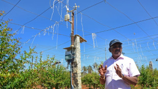 L'intelligence artificielle &agrave; la rescousse des agriculteurs indiens