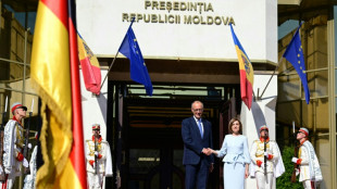 Merz sichert Moldau Unterst&uuml;tzung im Kampf gegen Desinformation aus Russland zu