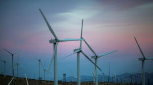 La subasta para desarrollar energ&iacute;a e&oacute;lica en EEUU registra un r&eacute;cord de 4.370 millones de d&oacute;lares