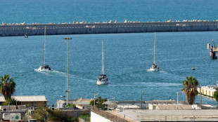 Flottille pour Gaza: un dernier bateau pour Gaza encore en route apr&egrave;s des dizaines d'interceptions