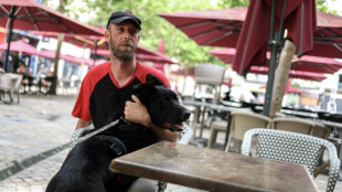 Ames bless&eacute;es, militaires et chiens s'adoptent pour renouer avec la vie