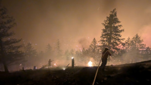 Vaste feu de for&ecirc;t dans l'ouest du Canada: 20.000 &eacute;vacu&eacute;s, l'&eacute;tat d'urgence d&eacute;clar&eacute;