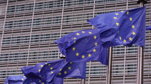 Ue agli Usa, 'respingiamo qualsiasi divieto sul gasolio'