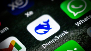 Waiting for DeepSeek: new model to test China's AI ambitions