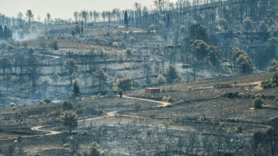 Et&eacute; 2025: des feux "hors normes" en France et en Europe 