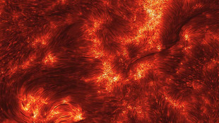 La Terra colpita a sorpresa da una piccola tempesta geomagnetica