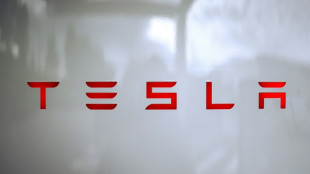 R&eacute;mun&eacute;ration controvers&eacute;e d'Elon Musk: Tesla accorde 29 milliards de dollars d'actions &agrave; son patron