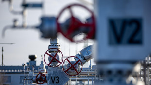 Il gas sfiora i 37 euro in chiusura di seduta ad Amsterdam, +11%