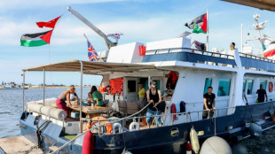 La Flottille dit poursuivre sa route pour Gaza malgr&eacute; les interceptions par Isra&euml;l