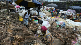 La OMS busca dar una base cient&iacute;fica a la medicina tradicional