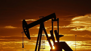 Petrolio e gas in forte calo, con i dazi timori per recessione