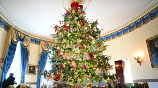 "Zauber, Staunen und Freude": Weißes Haus stellt Weihnachtsdekoration vor