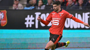 Verst&auml;rkung f&uuml;r die Offensive: Leverkusen verpflichtet Terrier