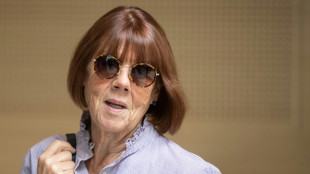 Le "proc&egrave;s Pelicot" &agrave; mi-chemin a d&eacute;j&agrave; secou&eacute; les consciences 