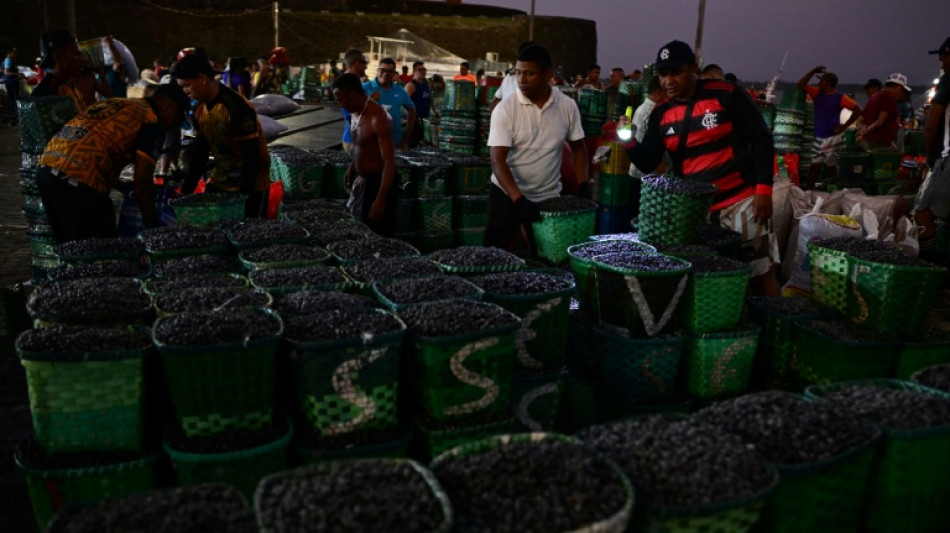 El empleo en Brasil resiste nuevamente a los aranceles de EEUU