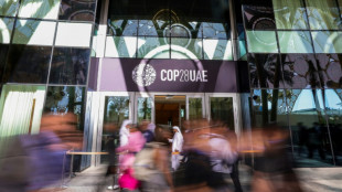 Controversial carbon credits flood COP28, yet still no rules