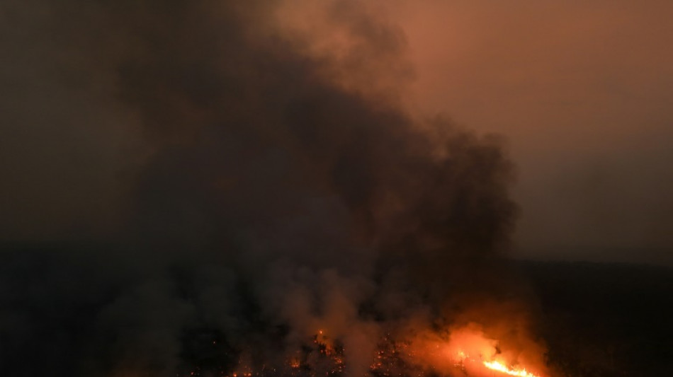 Br&eacute;sil: la surface br&ucirc;l&eacute;e en Amazonie en 2024 deux fois sup&eacute;rieure &agrave; la moyenne historique