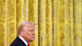 Trump annuncia il 25% dei dazi sulle auto importate