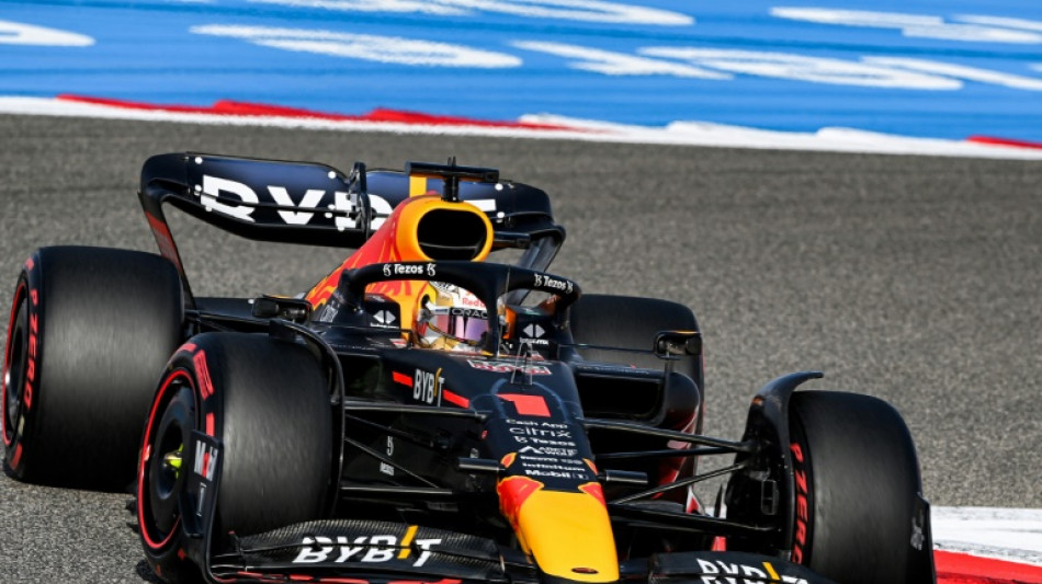 Verstappen es el piloto m&aacute;s r&aacute;pido en los terceros entrenamientos libres en Bar&eacute;in