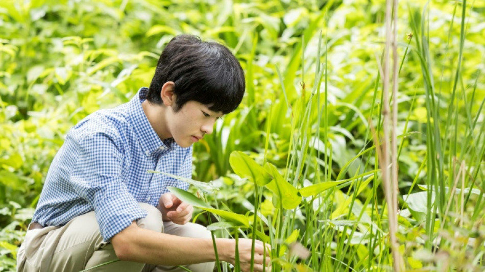 Japan prince comes of age as succession crisis looms