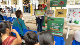 Perú busca controlar el dengue, que ya deja 32 muertos en lo que va del año