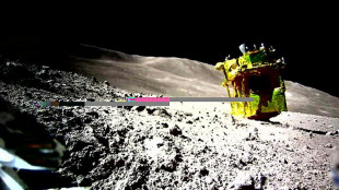 Lune: la sonde japonaise SLIM à nouveau mise en sommeil 
