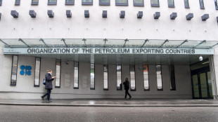 L'Opec+ si prepara a un nuovo piccolo aumento di produzione