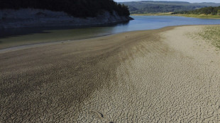 S&eacute;cheresse: plus de la moiti&eacute; de l'Europe et du pourtour m&eacute;diterran&eacute;en affect&eacute;s depuis avril