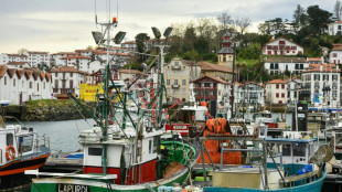 Protection des dauphins: nouvelle p&eacute;riode sans p&ecirc;che dans le golfe de Gascogne en 2027