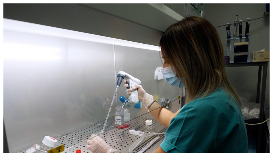 &Egrave; possibile eliminare il cromosoma che causa la sindrome di Down