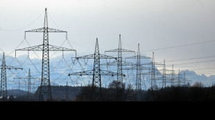 Bundesnetzagentur plant fünf neue lange Stromtrassen  
