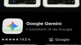 La famille d'un homme que Gemini aurait pouss&eacute; au suicide attaque Google