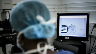 Australian IVF clinic admits embryo mix-up 
